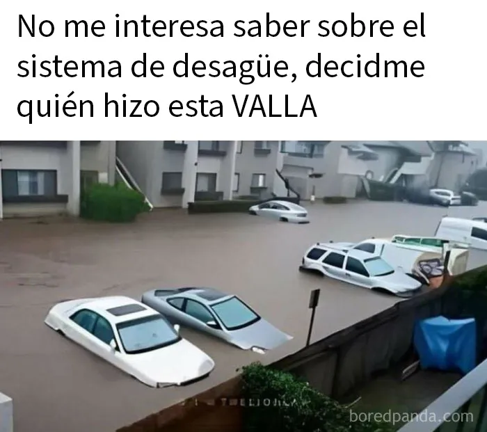 20 Divertidos memes británicos burlándose de ellos mismos