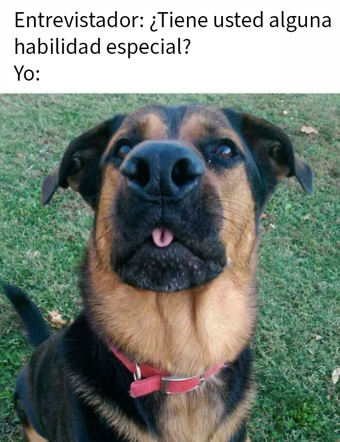 La única que tengo