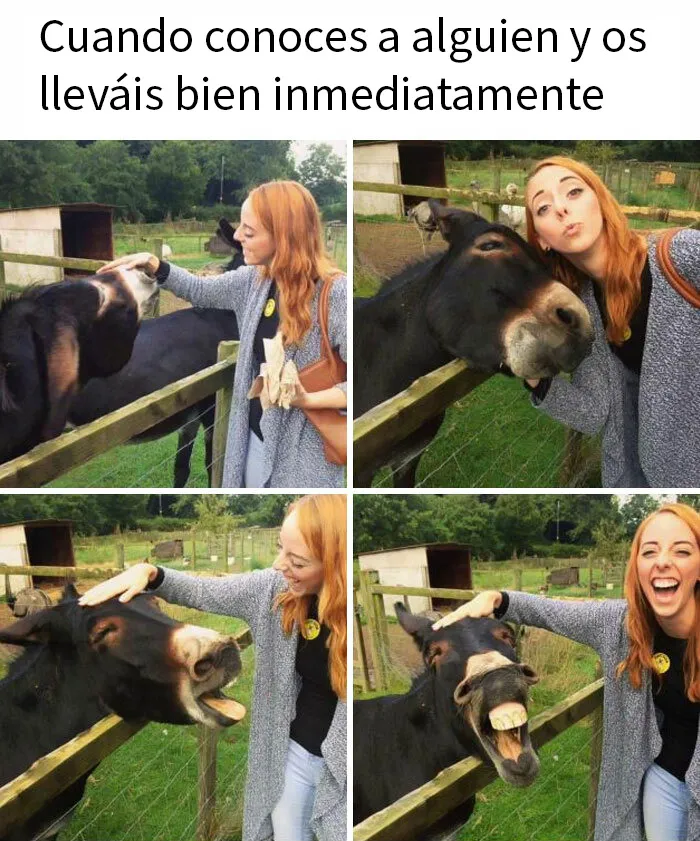 Cuando encuentras a tu espíritu animal