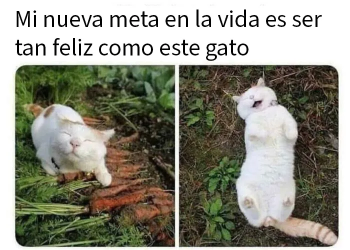 Te deseo esta felicidad