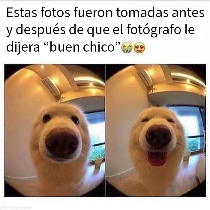 Buen chico