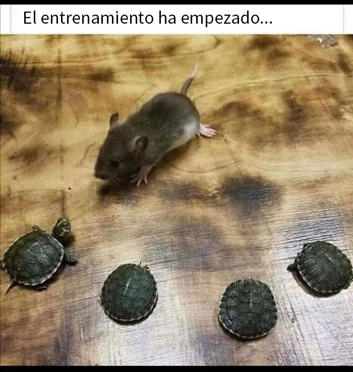 Tienen que crecer un poco