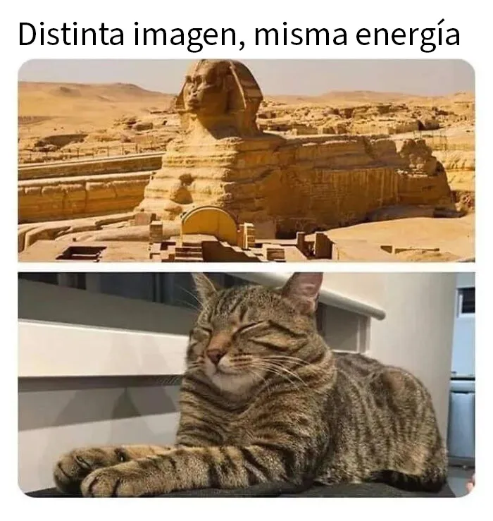Hermosos ambos