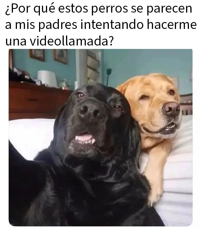 Jajaja