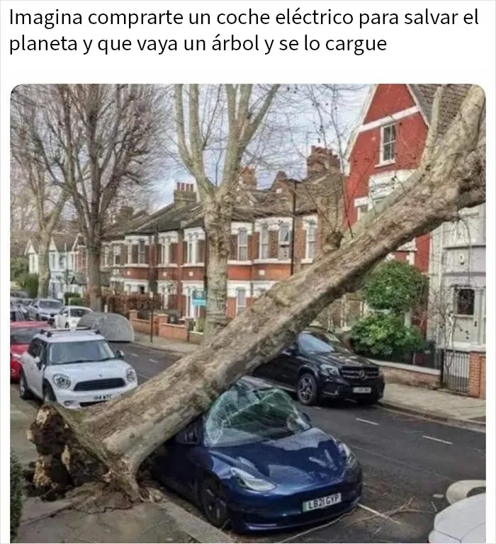 20 Comentarios que acabaron siendo mejores que la publicación original