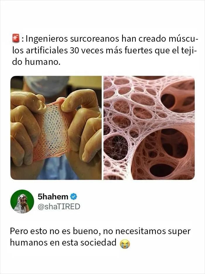 20 Comentarios que acabaron siendo mejores que la publicación original