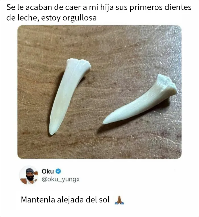 20 Comentarios que acabaron siendo mejores que la publicación original