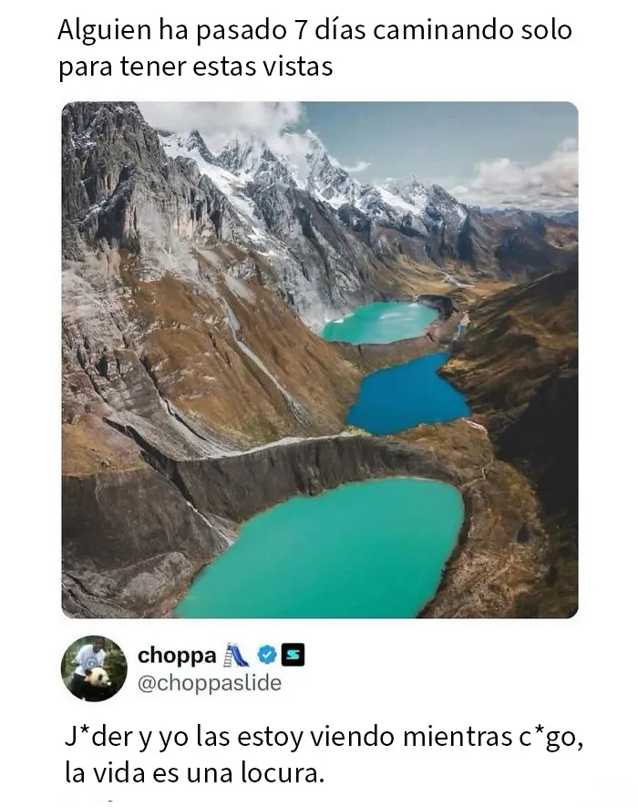 20 Comentarios que acabaron siendo mejores que la publicación original