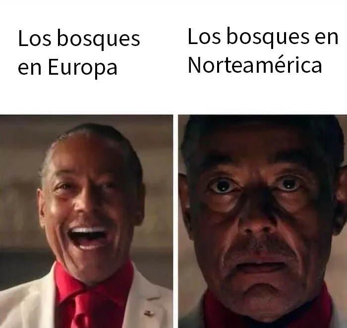 16 Memes y publicaciones bien explicados por la gente de internet