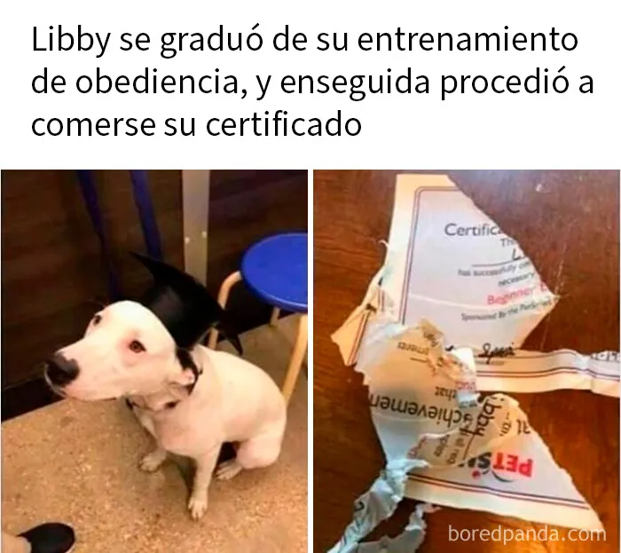 20 Publicaciones irónicas que quizá te hagan reír