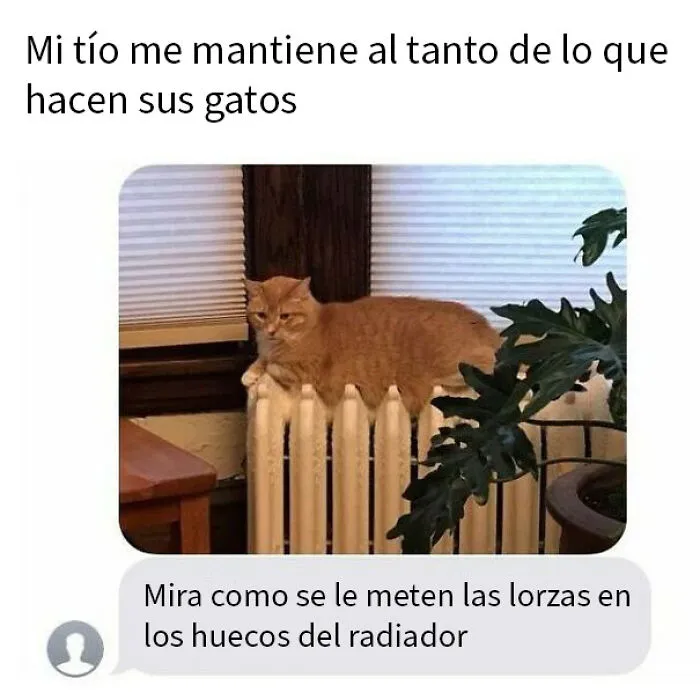 Si te parece que el mundo se va al infierno, estas 20 historias positivas quizá te ayuden a cambiar de opinión