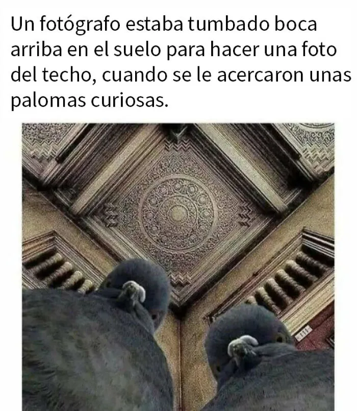 Si te parece que el mundo se va al infierno, estas 20 historias positivas quizá te ayuden a cambiar de opinión