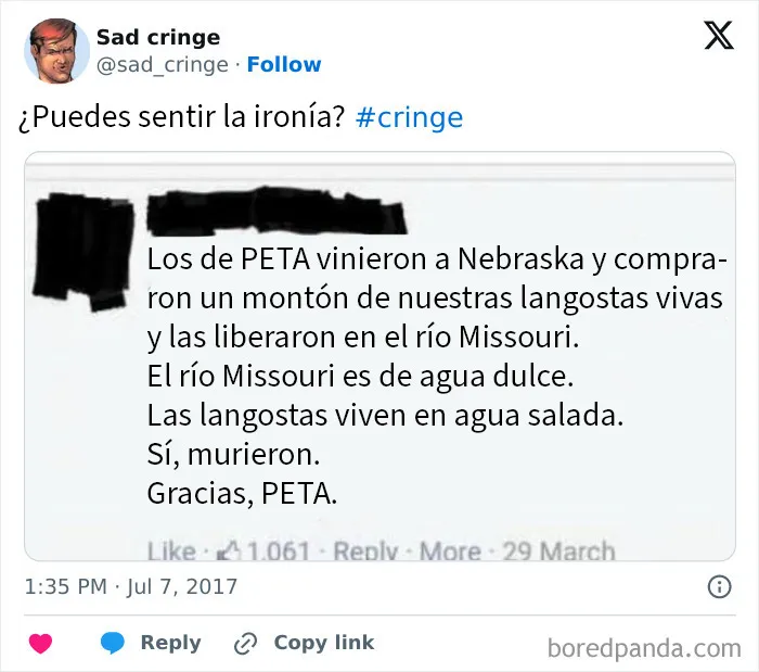 20 Momentos tan tristes como vergonzosos que siempre pervivirán en internet