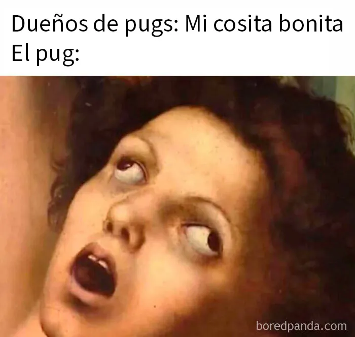 20 Memes tan divertidos como aleatorios de esta página con más de 1 millón de seguidores