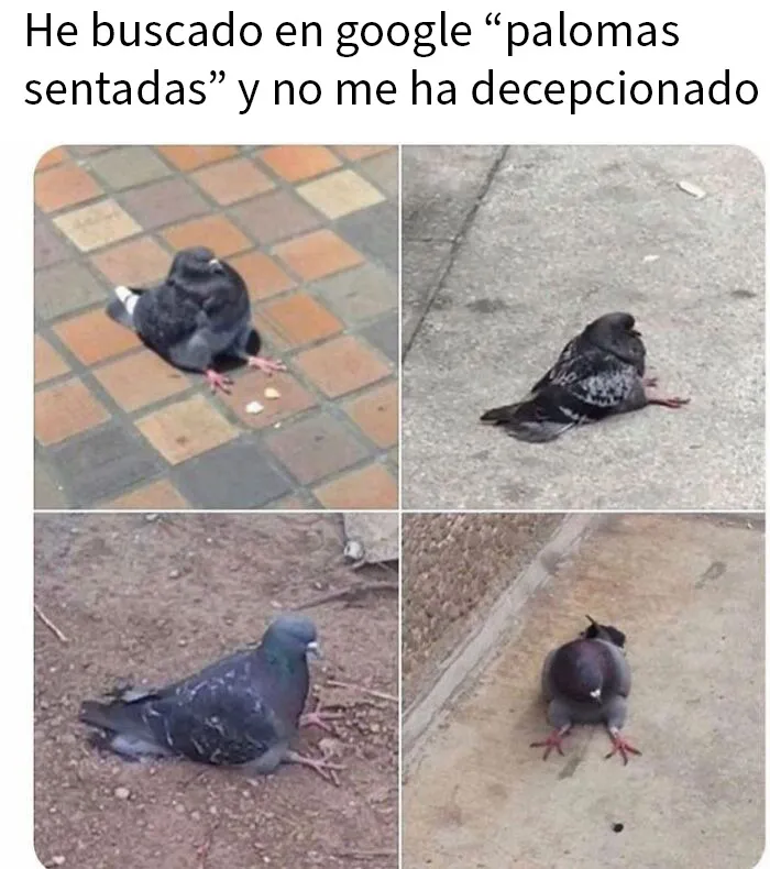 20 Memes tan divertidos como aleatorios de esta página con más de 1 millón de seguidores