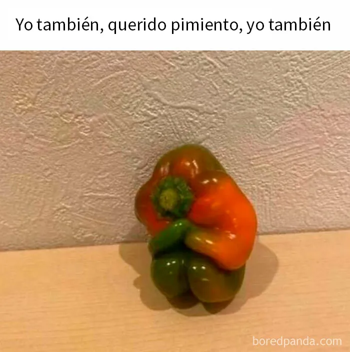 20 Memes tan divertidos como aleatorios de esta página con más de 1 millón de seguidores