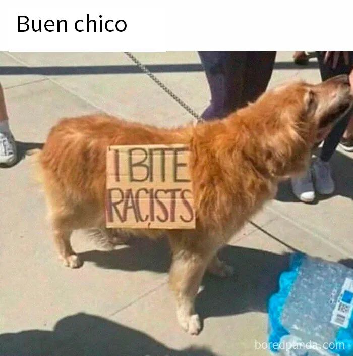 20 Memes tan divertidos como aleatorios de esta página con más de 1 millón de seguidores