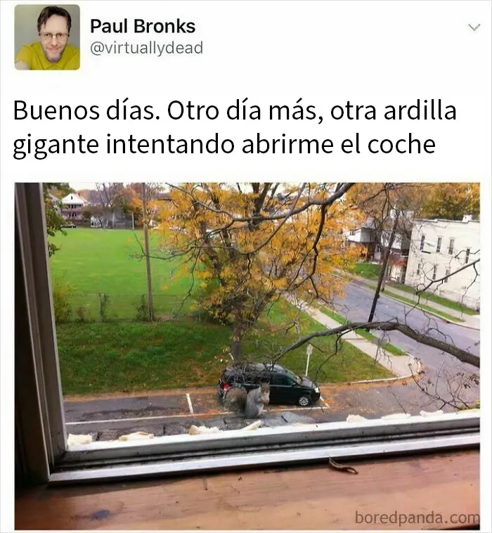 20 Divertidos memes británicos burlándose de ellos mismos