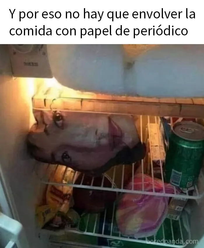 20 Divertidos memes británicos burlándose de ellos mismos