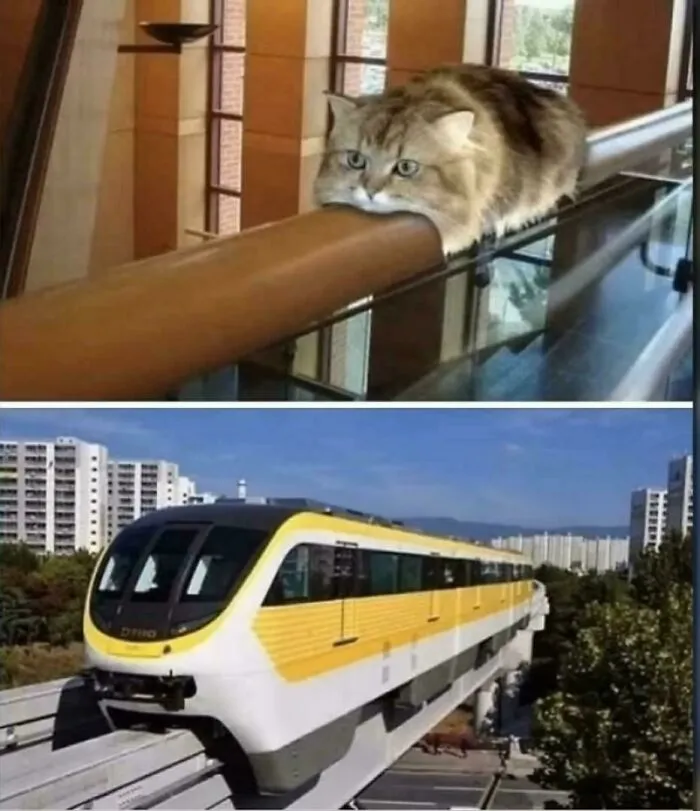 Michi exprés a punto de salir