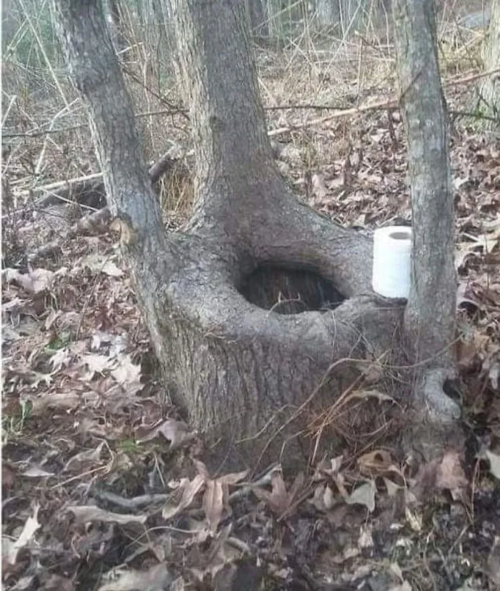 Hmmmm