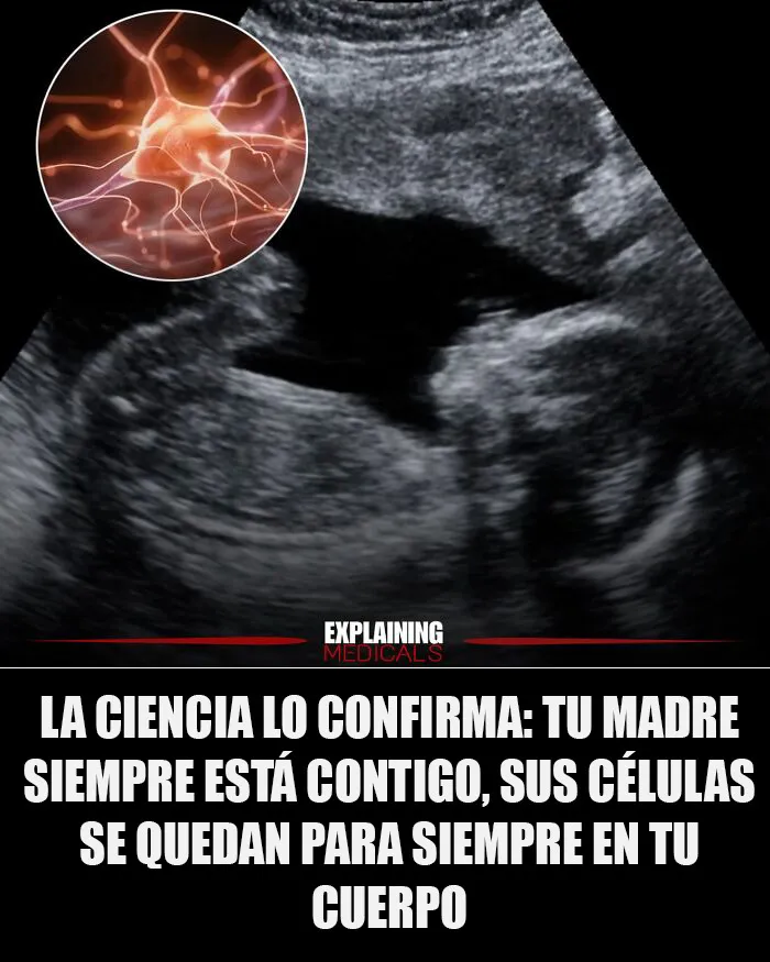 15 Interesantes datos médicos bien explicados