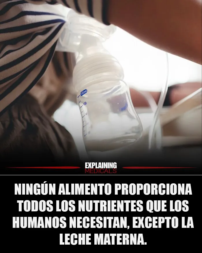 15 Interesantes datos médicos bien explicados