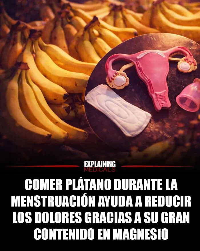 15 Interesantes datos médicos bien explicados