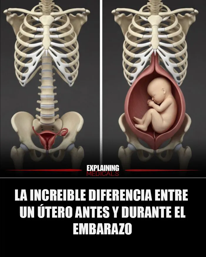15 Interesantes datos médicos bien explicados