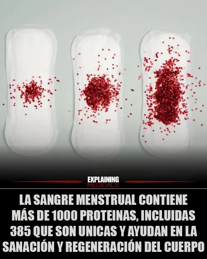 15 Interesantes datos médicos bien explicados