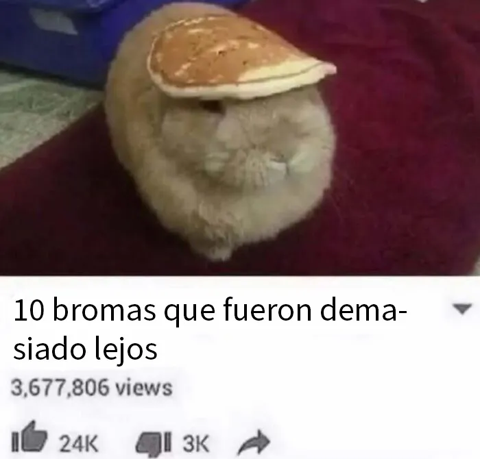 20 Memes e imágenes tan divertidos como caóticos