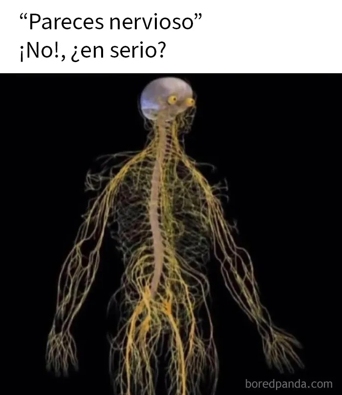 20 Memes e imágenes tan divertidos como caóticos