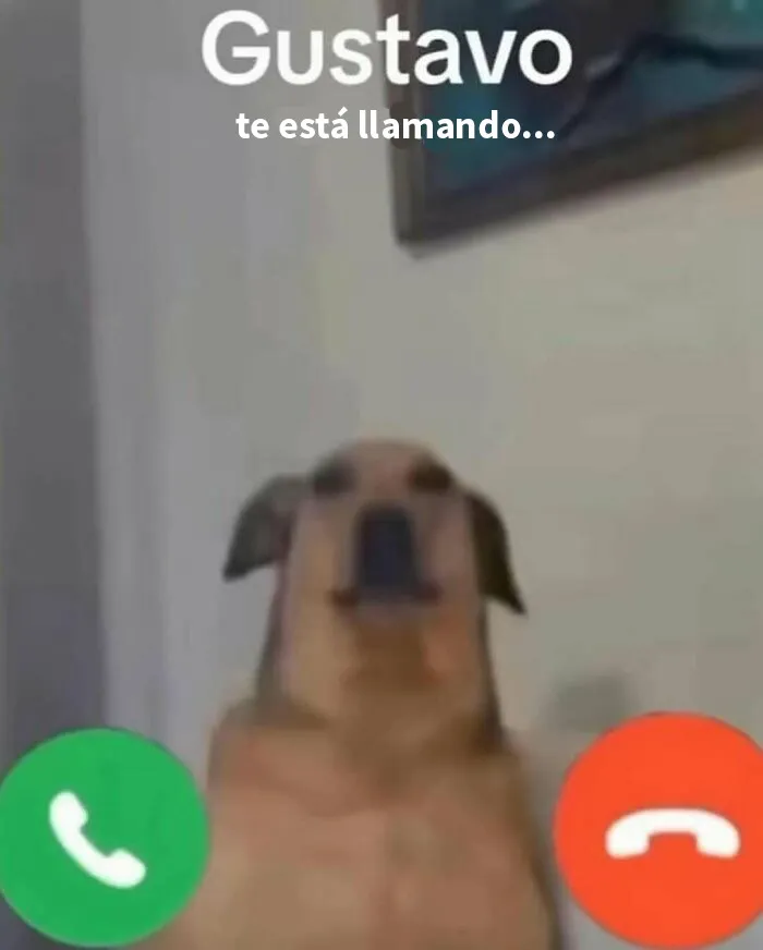 20 Memes e imágenes tan divertidos como caóticos