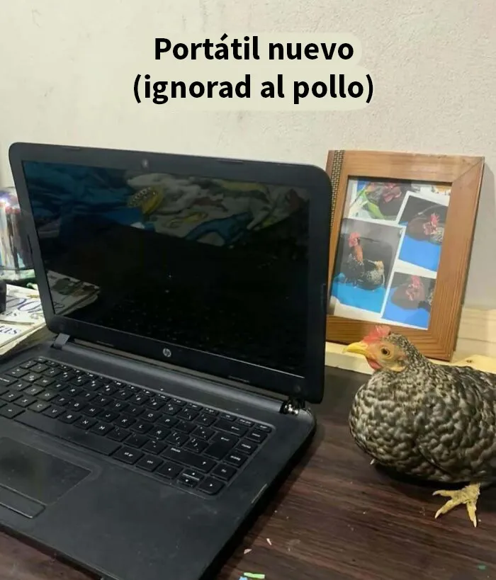 20 Memes e imágenes tan divertidos como caóticos