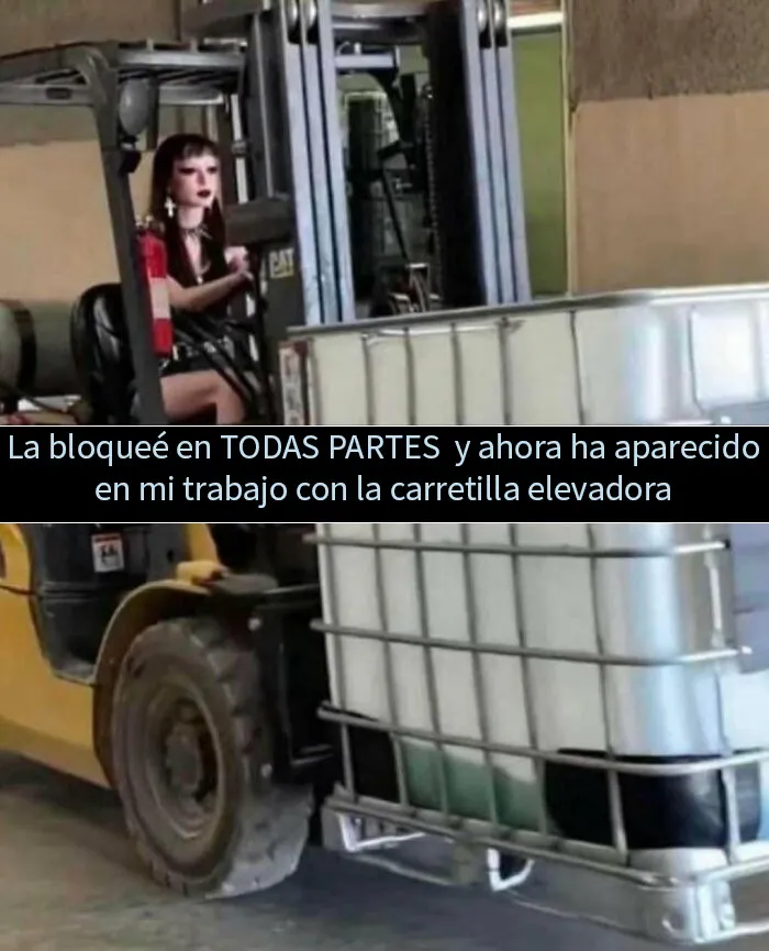 20 Memes e imágenes tan divertidos como caóticos