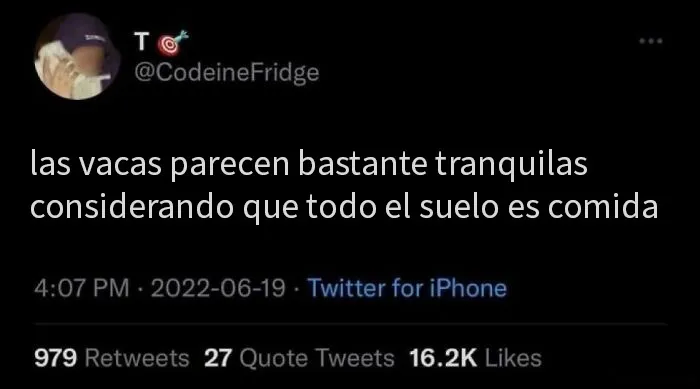 20 “Comentarios malditos” tan salvajes que dan risa