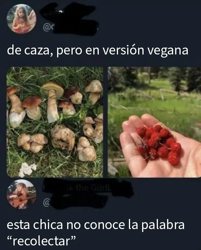 20 “Comentarios malditos” tan salvajes que dan risa