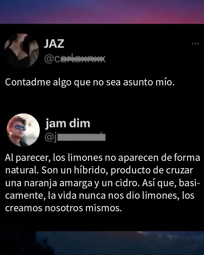 20 Comentarios que acabaron siendo mejores que la publicación original