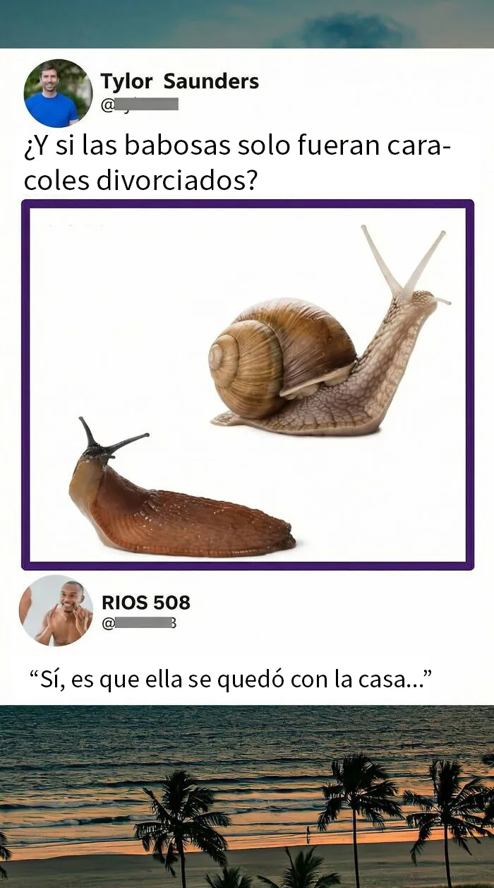 20 Comentarios que acabaron siendo mejores que la publicación original