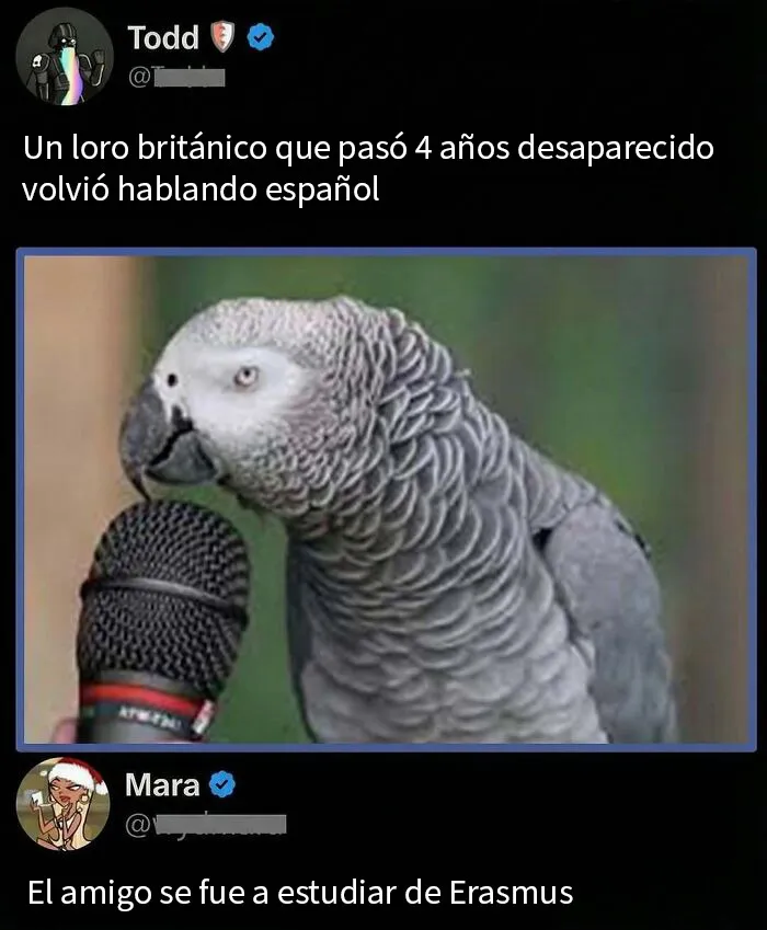 20 Comentarios tan divertidos que se llevaron más fama que las publicaciones en las que aparecen