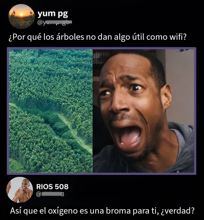 20 Comentarios tan divertidos que se llevaron más fama que las publicaciones en las que aparecen
