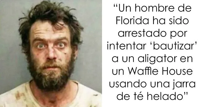 20 De las mejores frases que probablemente nadie había pensado antes