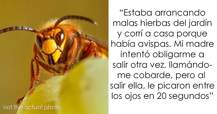 20 Historias sobre el karma golpeando sin piedad a quienes lo merecen