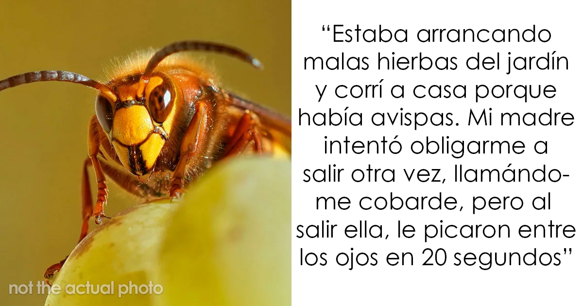 20 Historias sobre el karma golpeando sin piedad a quienes lo merecen