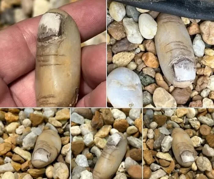 Pinté algunas piedras para que parecieran dedos amputados y las coloqué alrededor de la hoguera para que las descubrieran los invitados y nietos desprevenidos. ¡Jajajaja!