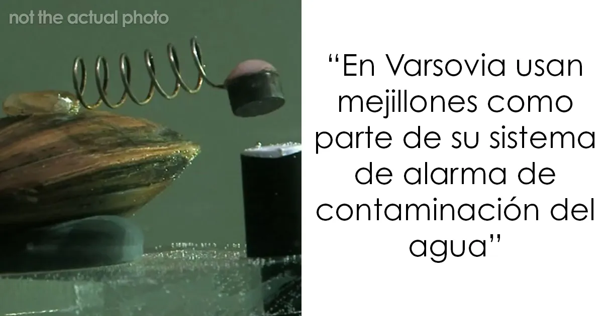 22 Problemas aparentemente complicados que tuvieron fácil solución