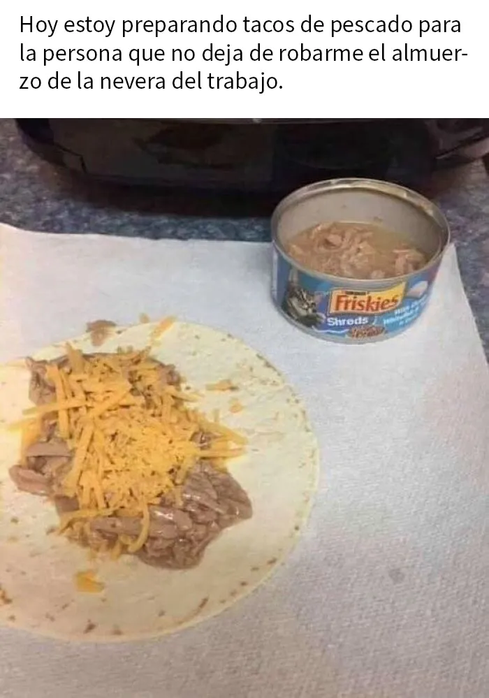 Espero que le guste la comida para gatos