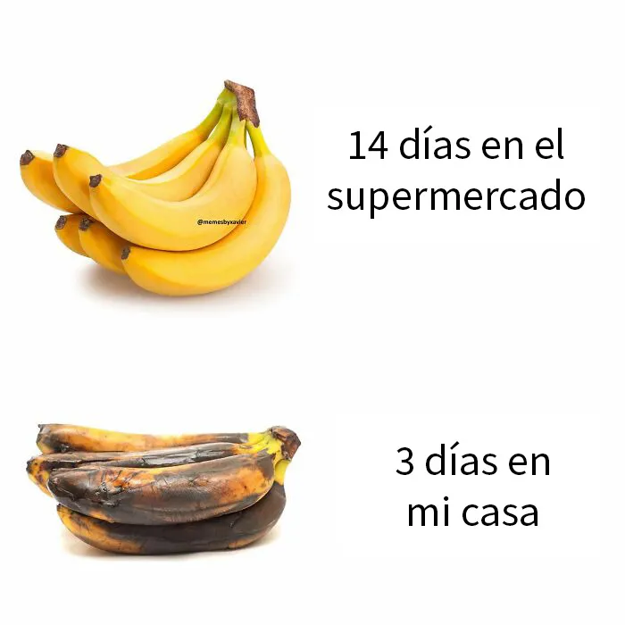 20 Memes divertidos que hacen reír a miles de personas