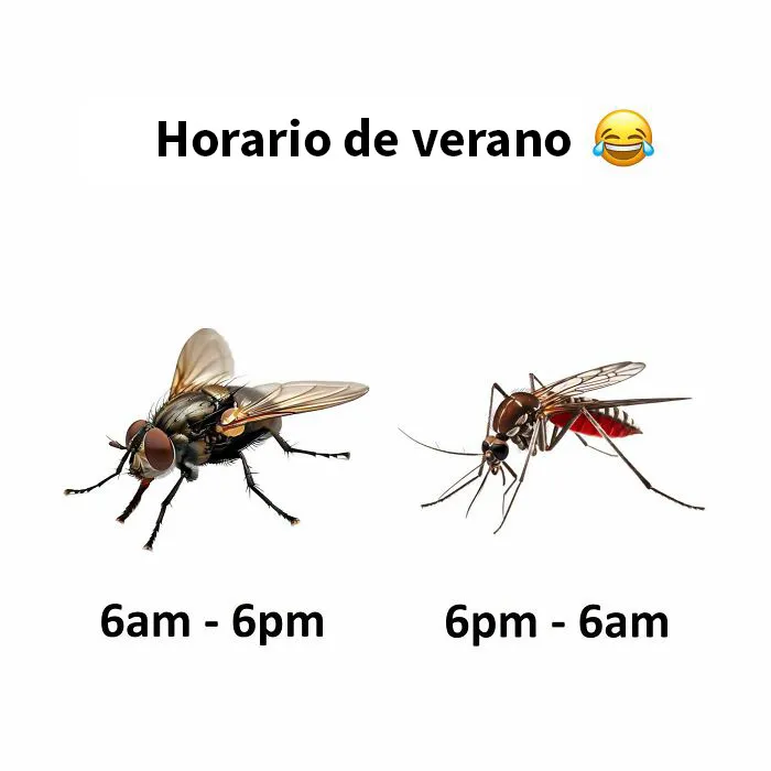 20 Memes divertidos que hacen reír a miles de personas