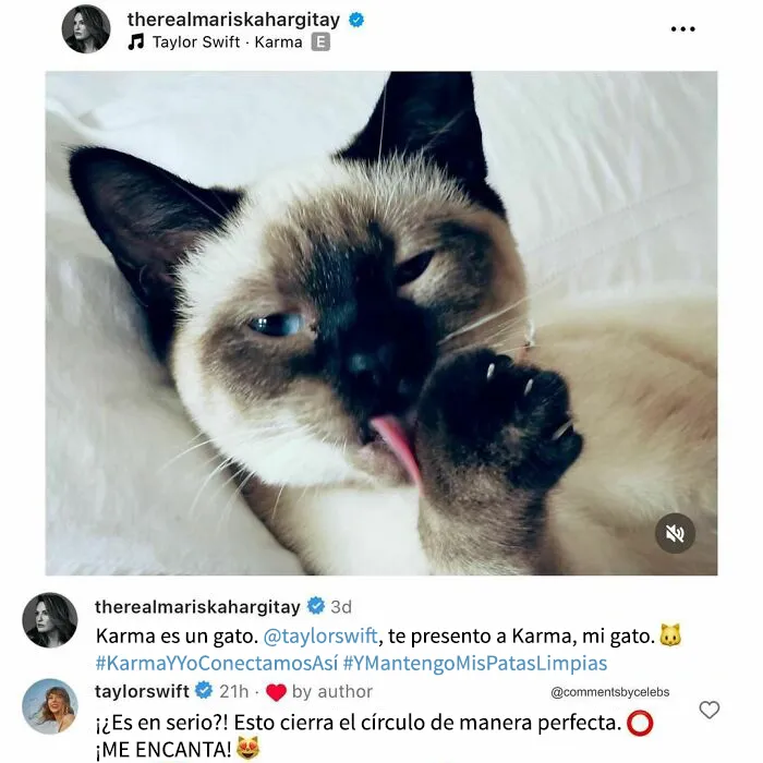 20 Comentarios de celebridades tan inesperados que revolucionaron internet